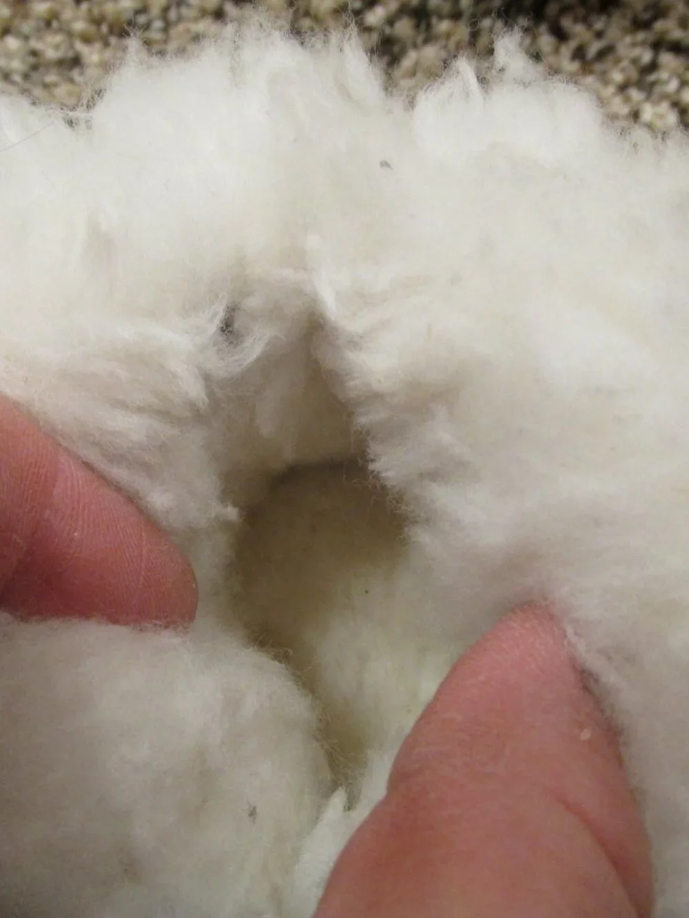 Source Unknown shearling moccasin
